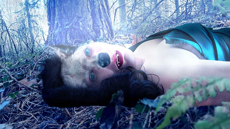 Transformation zu einem Wolf